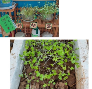 906b89fbfb93107074236cae7debe67b