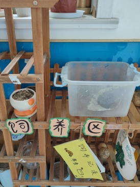 1f4d364d06f0c3e43d655c4cdc20b9db