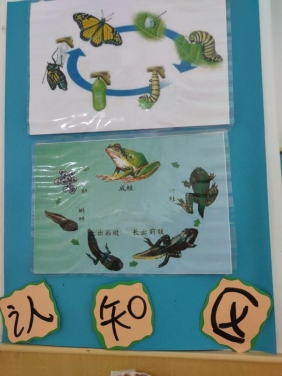 c35be7f9c95527675891a23ffdb8e754