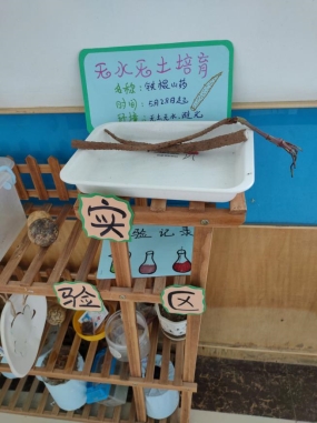 efb486c2811f34e322e1c3c8c6bf4458