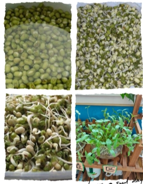 f676294dd734171b19d50fd640860767