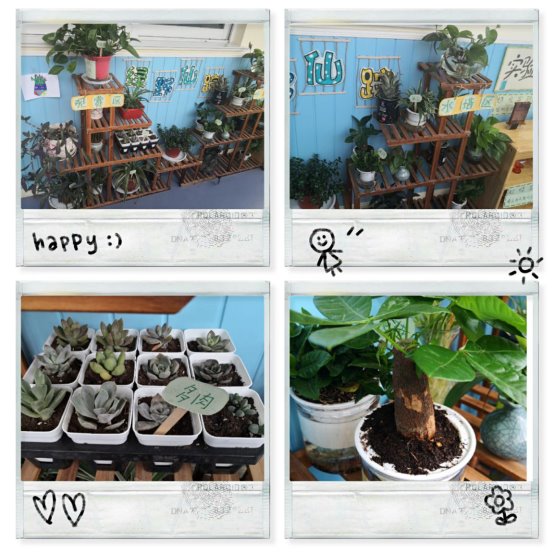 pt2020_06_19_12_01_38