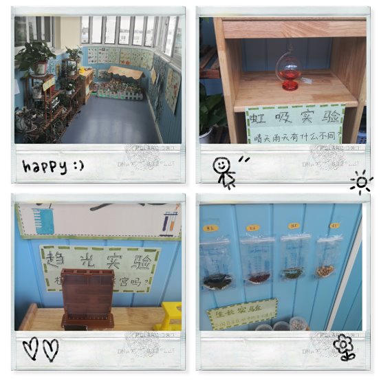 pt2020_06_19_12_02_01