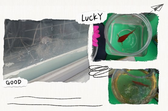 pt2020_06_19_12_01_08