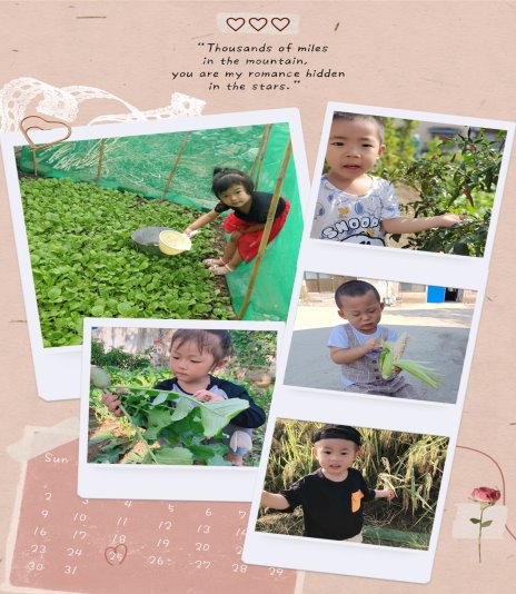 img_4530(20211103-140113)