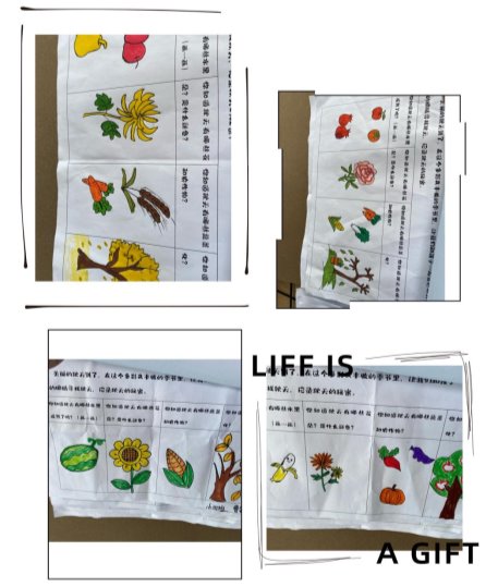 img_4541(20211103-140651)