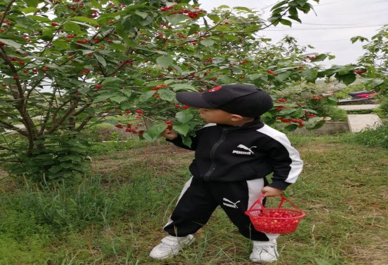 qq图片20211128092701