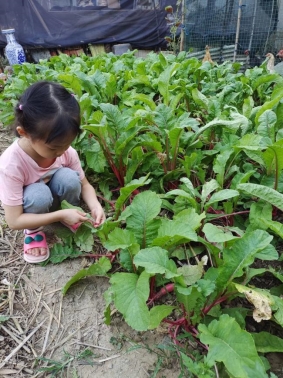 qq图片20211128092938