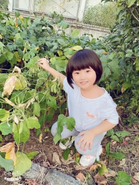 qq图片20211128093031