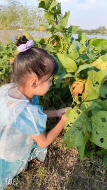 qq图片20211128093053