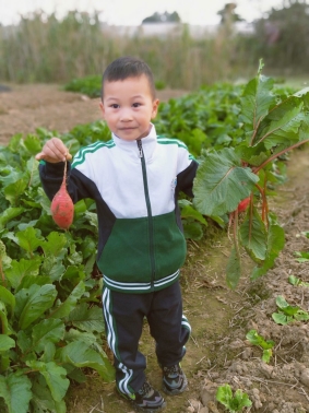 qq图片20211128110354