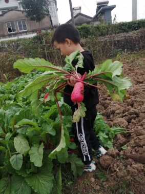 qq图片20211128110449