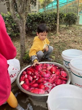 qq图片20211128110619