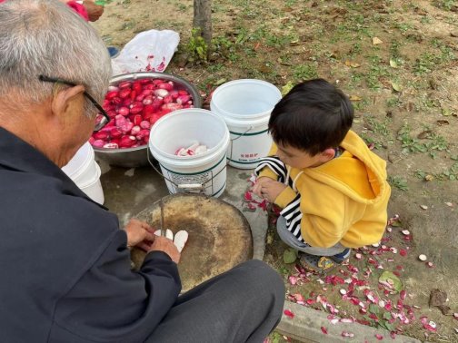 qq图片20211128110628