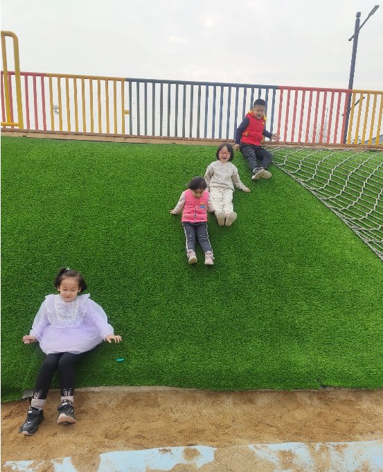 图片包含 草, 游戏机, 猫, 地毯
描述已自动生成