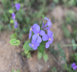 4e3c7b19bdc02536d33ff5d42afa7e1b