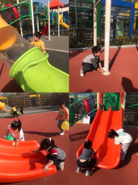 cffeec5f31956f91c92c6026c0de6ab7