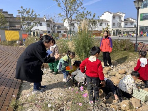 qq图片20221115230954