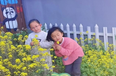 cb271656409f92e0564600121fc6cdc