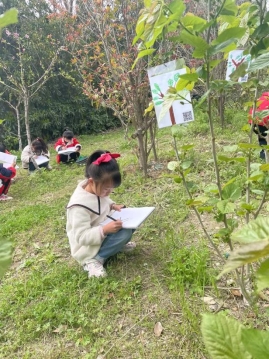 1b62a7c88185fd9631a18af323db5ff