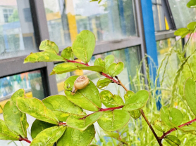 index.011.png index.011.png