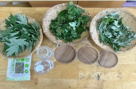 fecd324fc974c86559cef6ccfb67997c