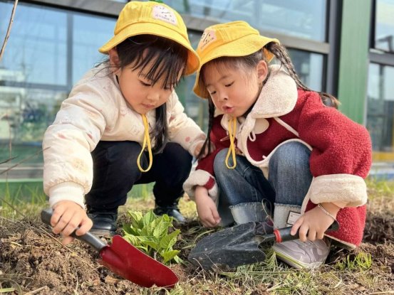 qq图片20250312211102