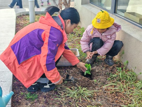 qq图片20250312203344