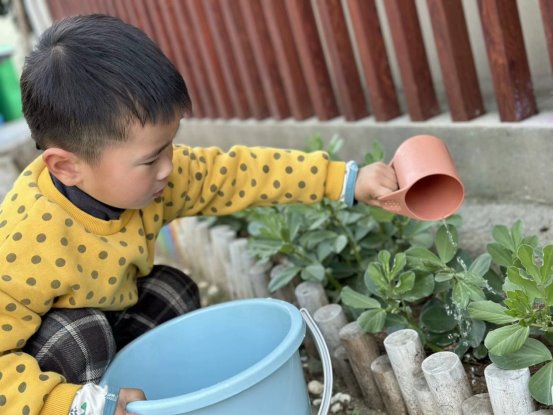 qq图片20250312210940