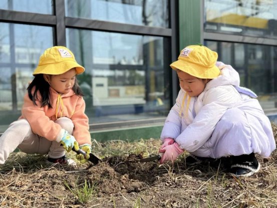 qq图片20250312210837