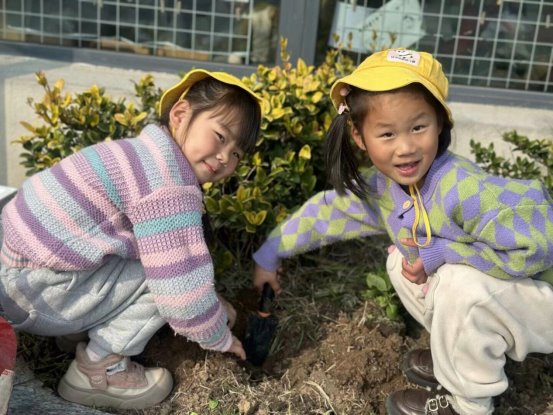 qq图片20250312210825