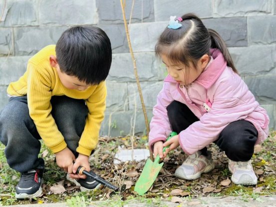 qq图片20250312210802