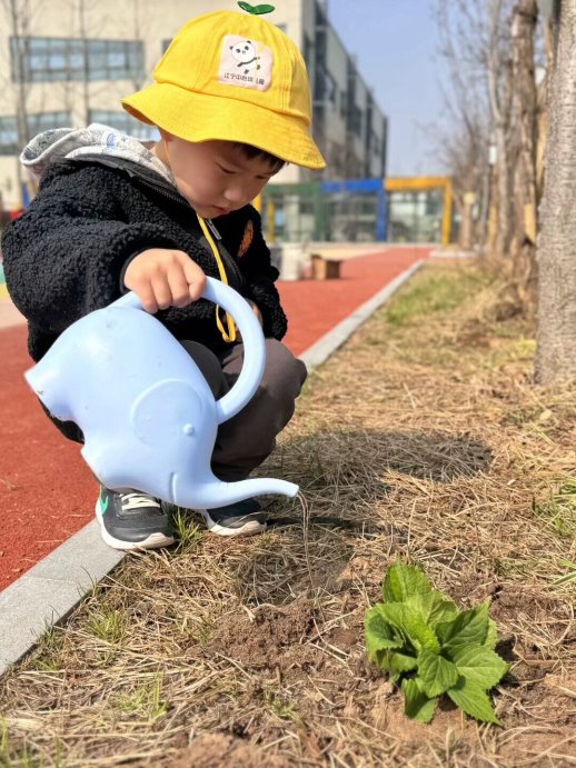 qq图片20250312211052