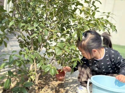 qq图片20250312210948