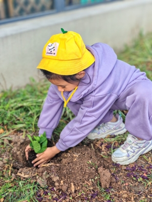 qq图片20250312211118