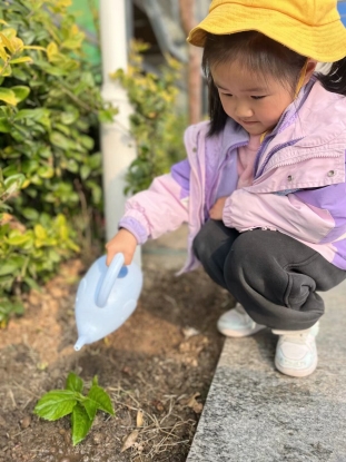 image_183432998563779